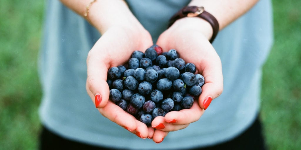 Blaubeeren enthalten viele Antioxidantien die das Immunsystem unterstützen können. - 