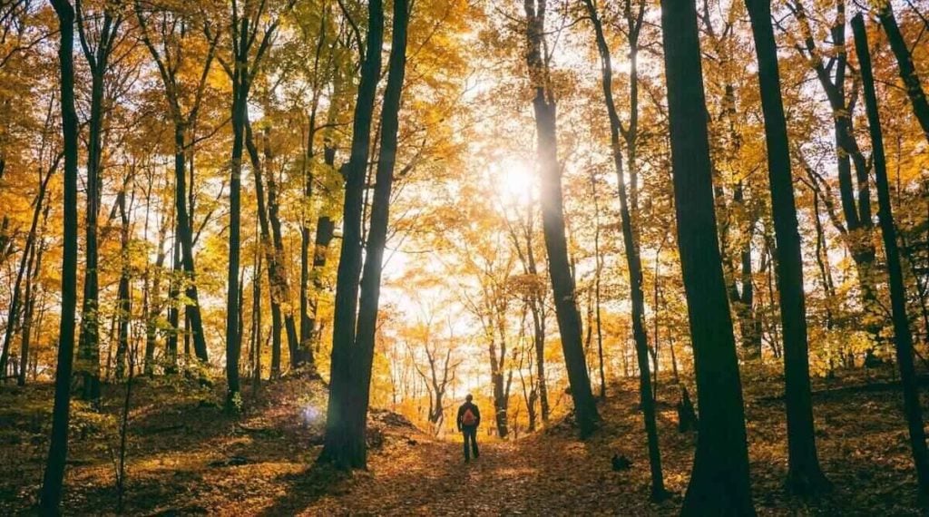 Gehen Sie wandern oder in der Natur spazieren, um die großartige Landschaft zu genießen