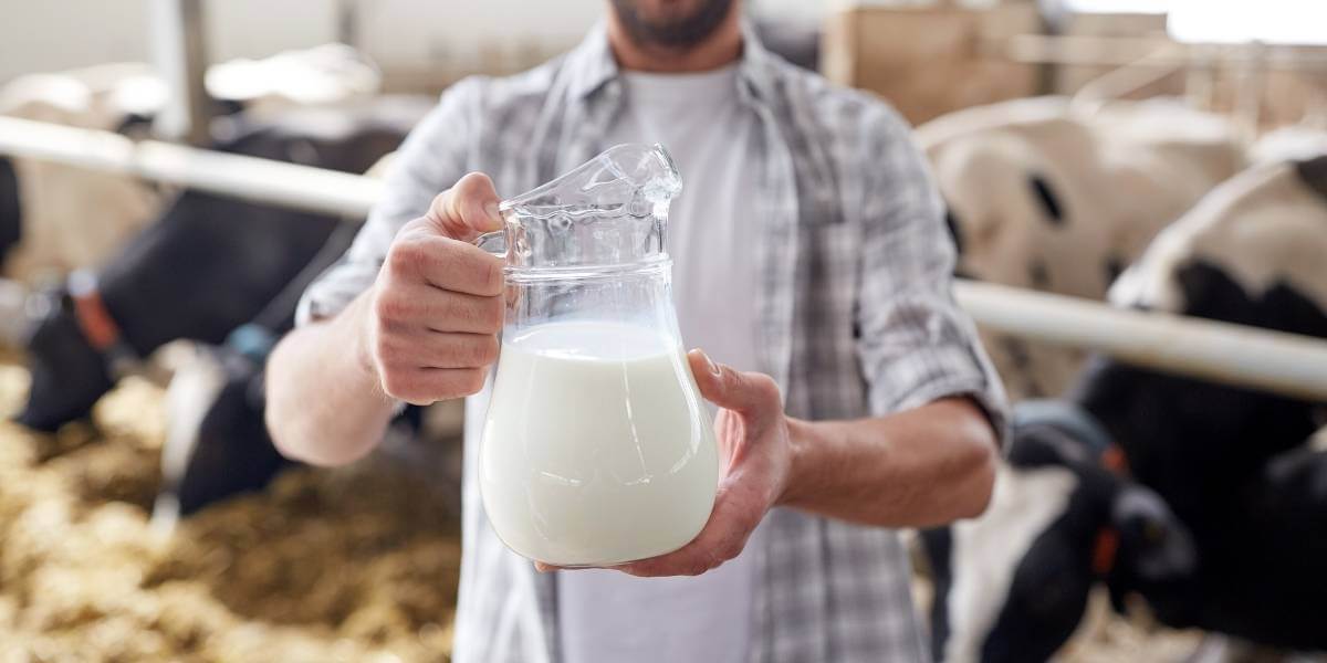 Ist diese Aussage über Ernährung falsch? Ist Vollfettmilch gesünder als fettarme Milch?