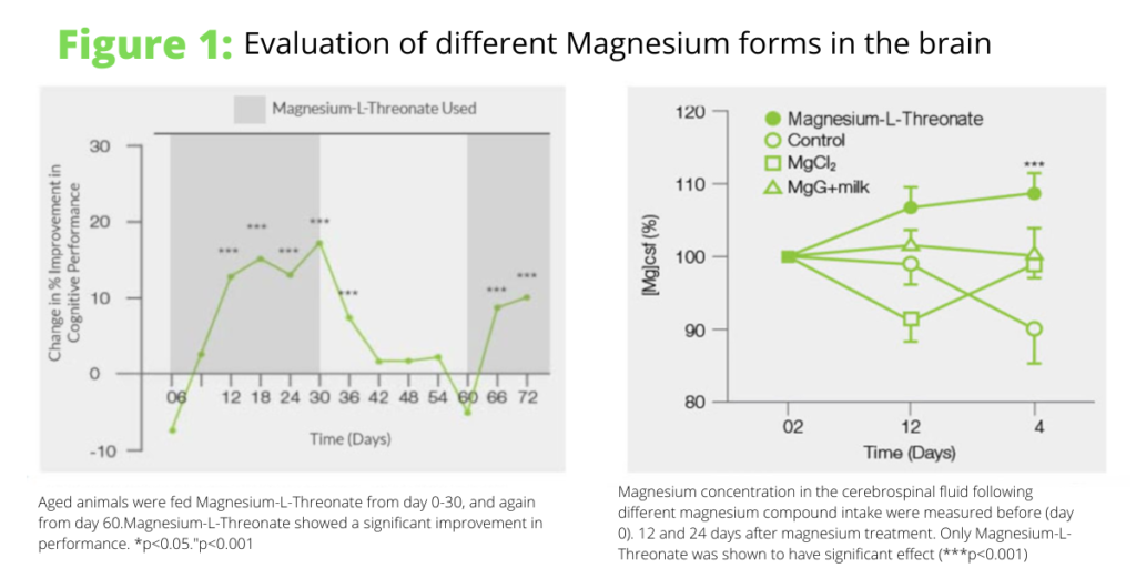 Bewertung der Magnesiumformen im Gehirn